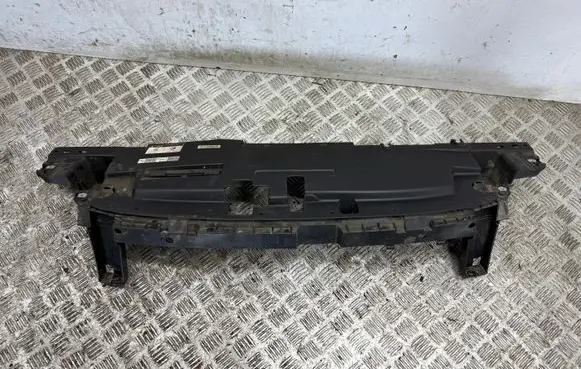 Engine bonnet/hood lock trim molding