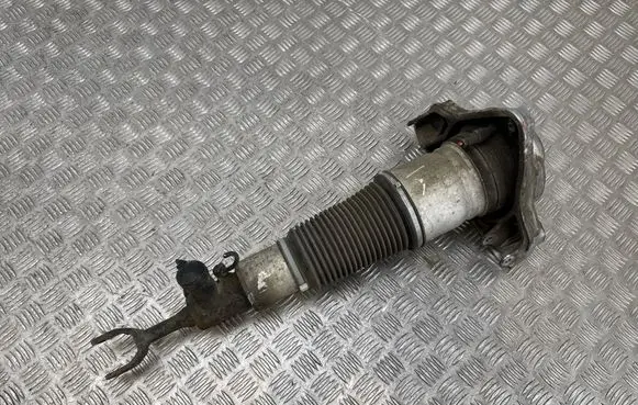 Audi A6 S6 C6 4F Front shock absorber/damper