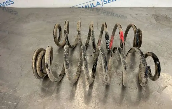Volkswagen PASSAT B6 Front coil spring
