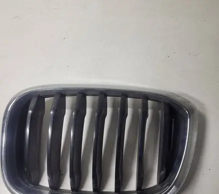 BMW X3 G01 Front grill 19297610