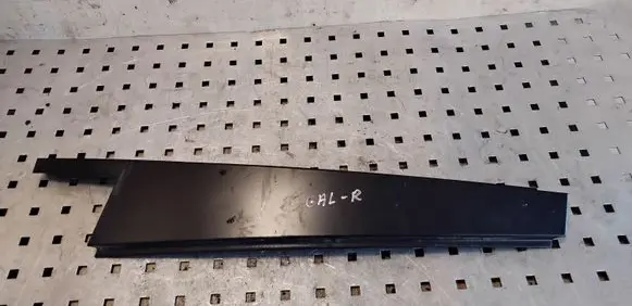 Other rear door trim element