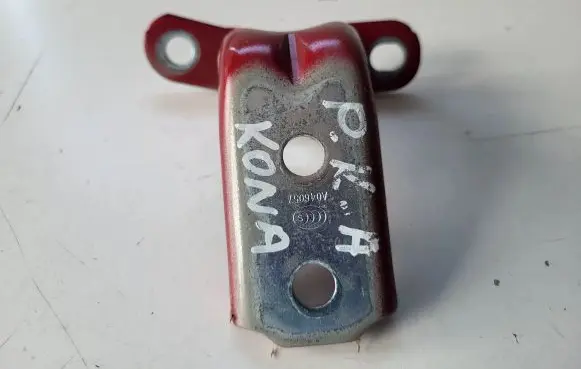 Hyundai Kona I Front door lower hinge 