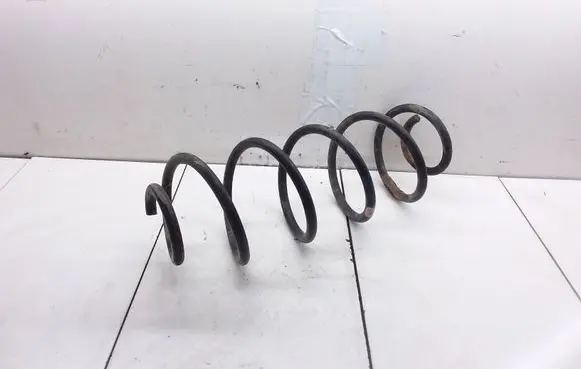 Rear coil spring
