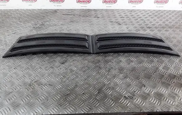 Front fog light trim/grill