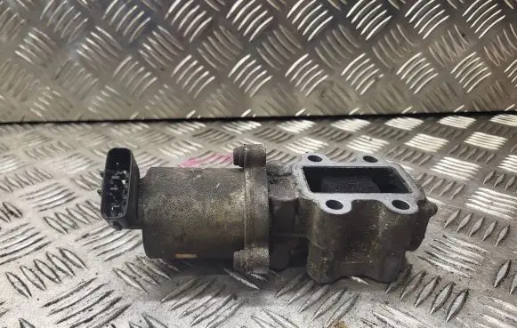 EGR valve