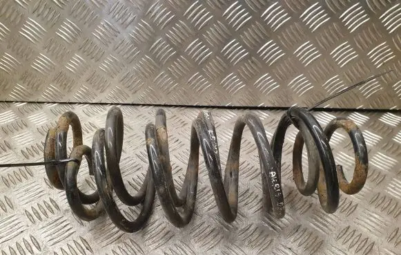 Rear coil spring