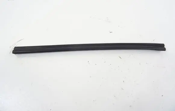 Nissan Juke II F16 Rubber seal rear door window/glass 