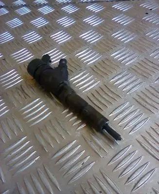 Citroen Xsara Picasso Fuel injector 0445110062 9640088780