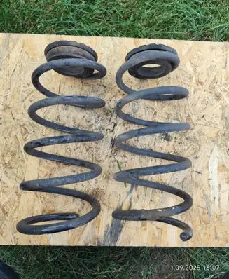 Rear coil spring