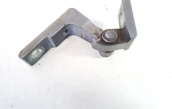 Porsche Cayenne (9PA) Rear door lower hinge 7l0831401