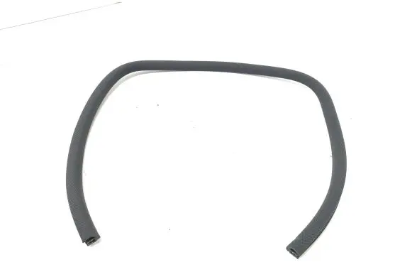 Citroen DS5 Sunroof sealing rubber 