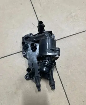 Thermostat/thermostat housing