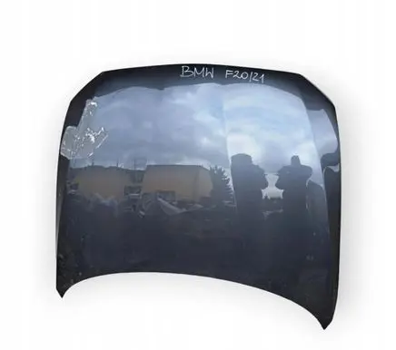 BMW 1 F20 F21 Engine bonnet/hood ZTA16620