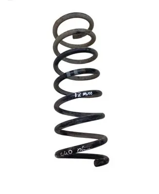 Rear coil spring
