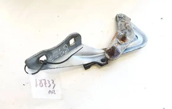 Ford Focus Engine bonnet/hood hinges 4m5116800aa