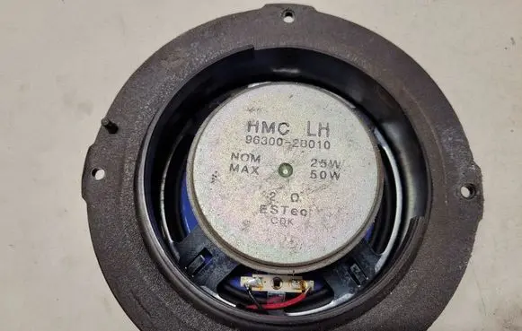Hyundai Santa Fe Rear door speaker 963002B010