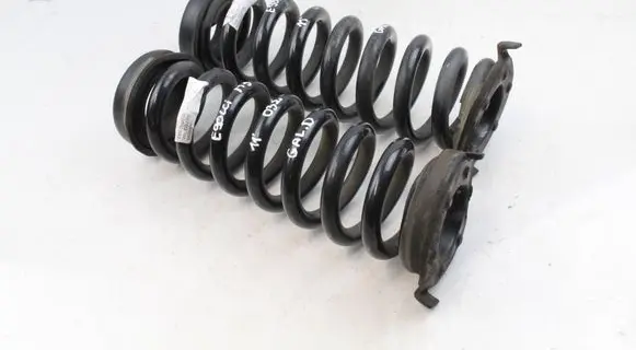 Rear coil spring