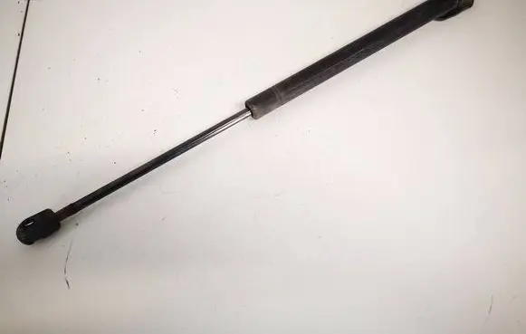 Tailgate/trunk strut/damper
