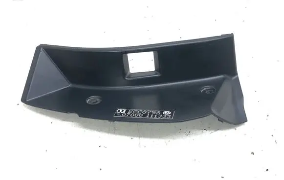 Rear/tail light trim molding