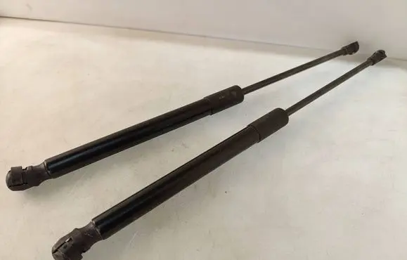 Tailgate/trunk strut/damper