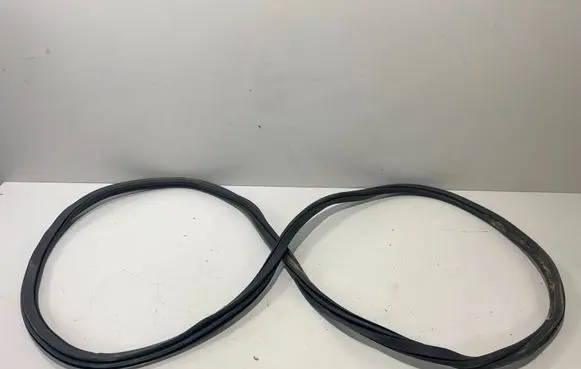 BMW X7 G07 Rubber seal rear door 7431142