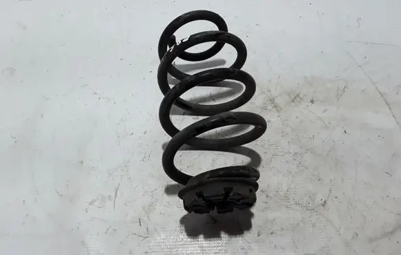 Renault Zoe Rear coil spring 550203432R