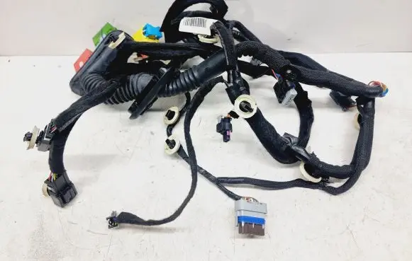 Front door wiring loom