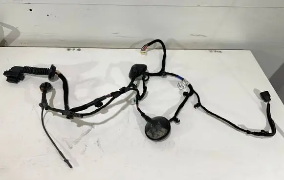 KIA Niro Rear door wiring loom 91620AT010