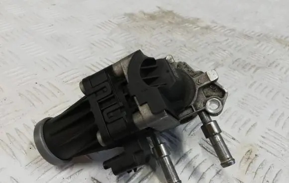 Citroen C3 EGR valve 50563924 06L1640L 332290695114
