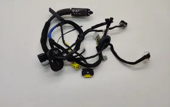 Front door wiring loom