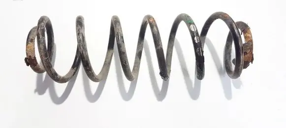 Rear coil spring