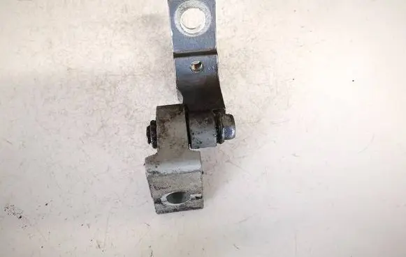 Volkswagen PASSAT B5.5 Rear door lower hinge