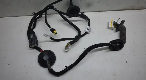 KIA Niro Rear door wiring loom 91660G5191