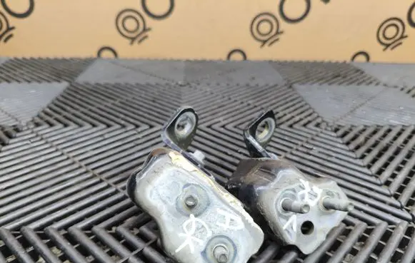 Ford Edge II Rear door hinge set 