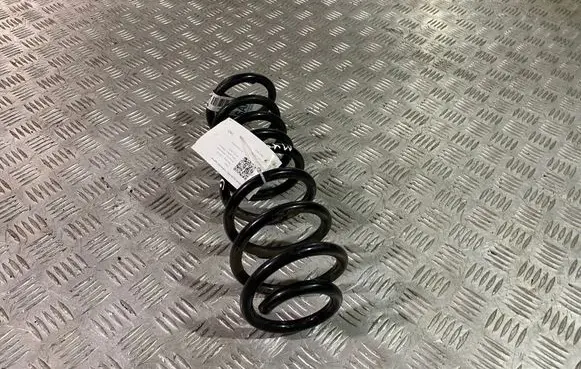Ford Mustang V Rear coil spring BR335560AB