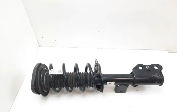 Ford Mustang Mach-E Front shock absorber with coil spring LJ9C18K001AAE LJ9C5310EAA