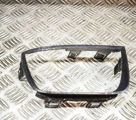 Rear/tail light trim molding