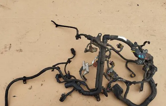 Engine installation wiring loom