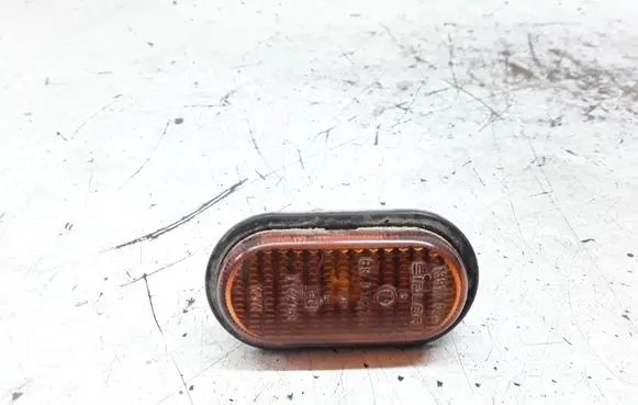 Renault Scenic I Front fender indicator light