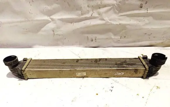 Mercedes-Benz A W169 Intercooler radiator A1695000000