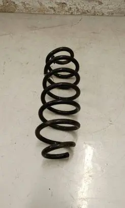 Rear coil spring