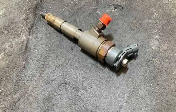 Peugeot Partner Fuel injector 0445110566