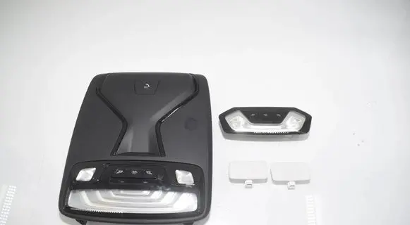 BMW 3 G20 G21 Front seat light 6829010 7910812 9472764