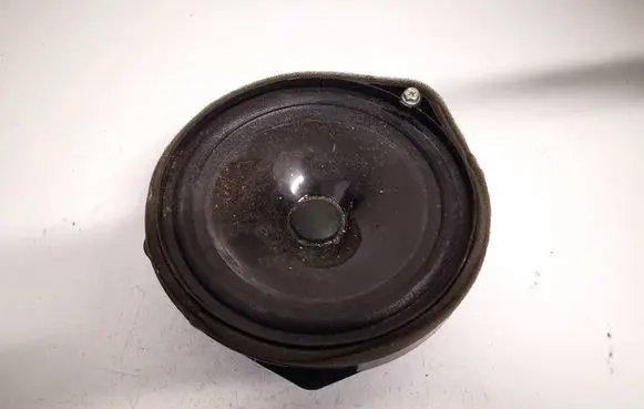 Front door speaker