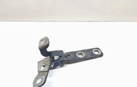 BMW X5 E70 Tailgate/trunk/boot hinge 7149627