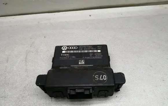 Volkswagen PASSAT B6 Gateway control module 3C0907530C