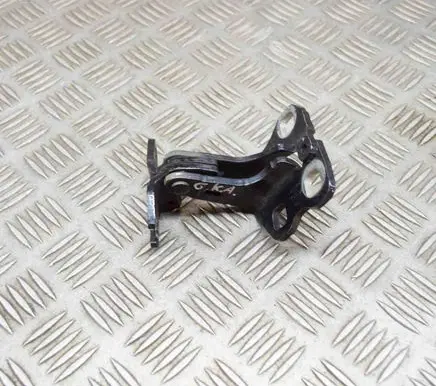 Tesla Model 3 Rear door lower hinge A046571