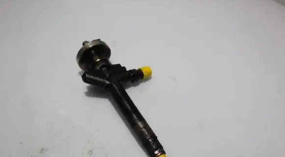 Mazda 6 Fuel injector 501049