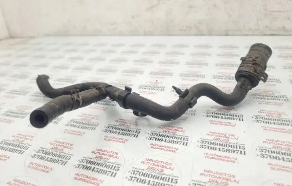 Volkswagen PASSAT B5.5 Engine coolant pipe/hose