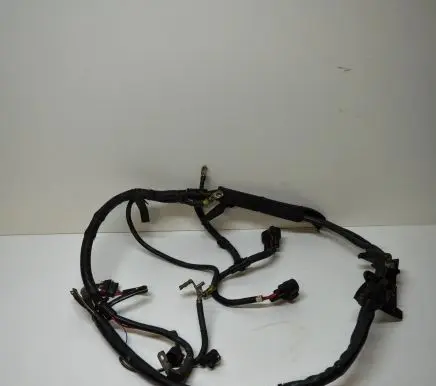 Audi A7 S7 4G Other wiring loom 4G0971824R